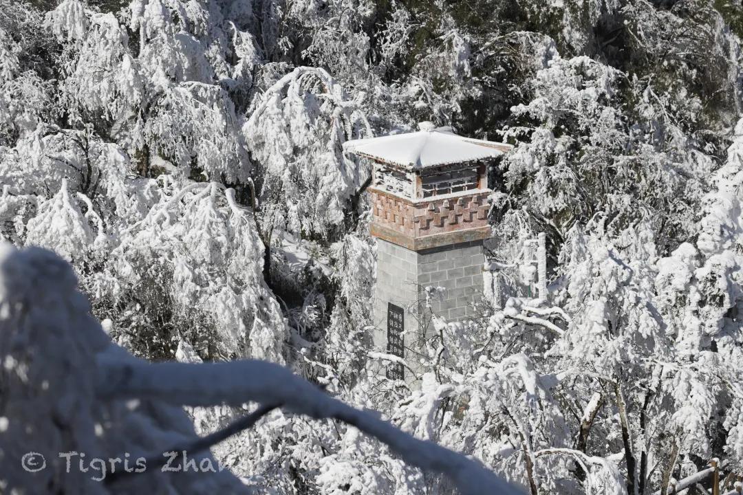 冰雪世界里的奇幻森林——唐家河、卧龙自然观察记