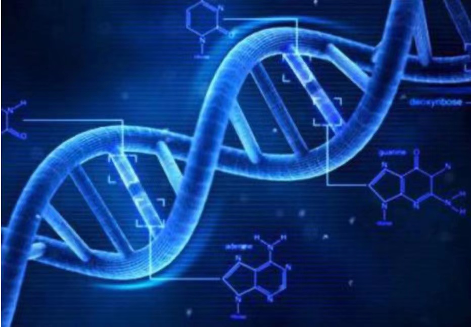 美國對伊朗放狠話，印軍欲與英聯演，美國對俄羅斯人生物信息下手