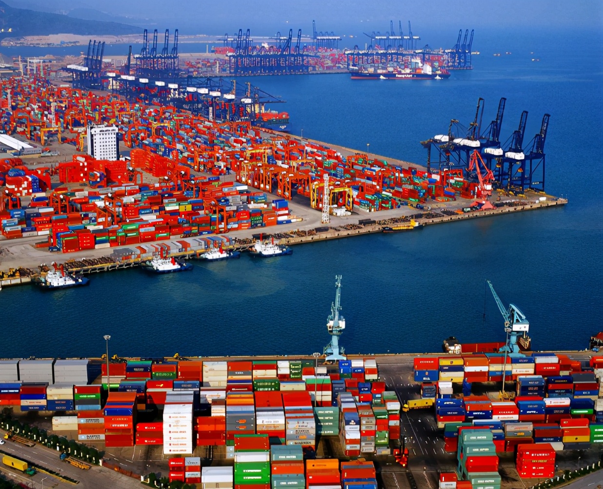 中國�殺雞儆猴�，澳方才反應過來，自己就是那隻�悲慘的雞�