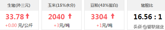 今日猪价！“惊天暴跌” 首农、温氏、正邦..继