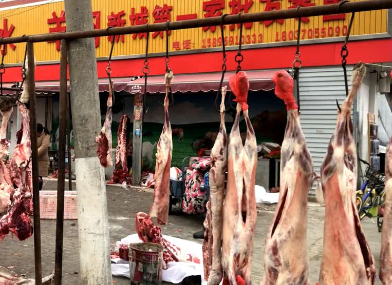 圖片[1]-一斤鮮羊肉40元 為啥冰凍羊肉才20幾元呢？相差太大了-起舞食譜網