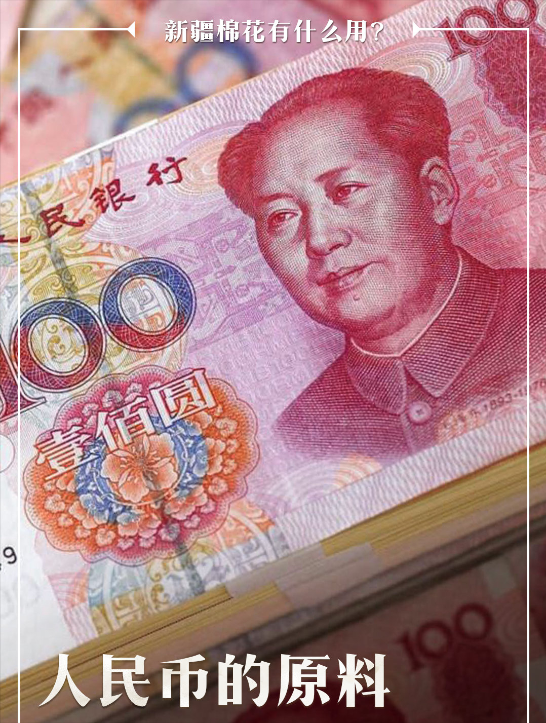 Thank " pig adversary " the conduct propaganda with was done absolutely good for Xinjiang cotton