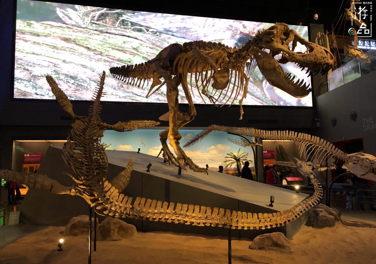 存在感很低的直辖市，最出名的是当地的包子，但这不是真正的天津