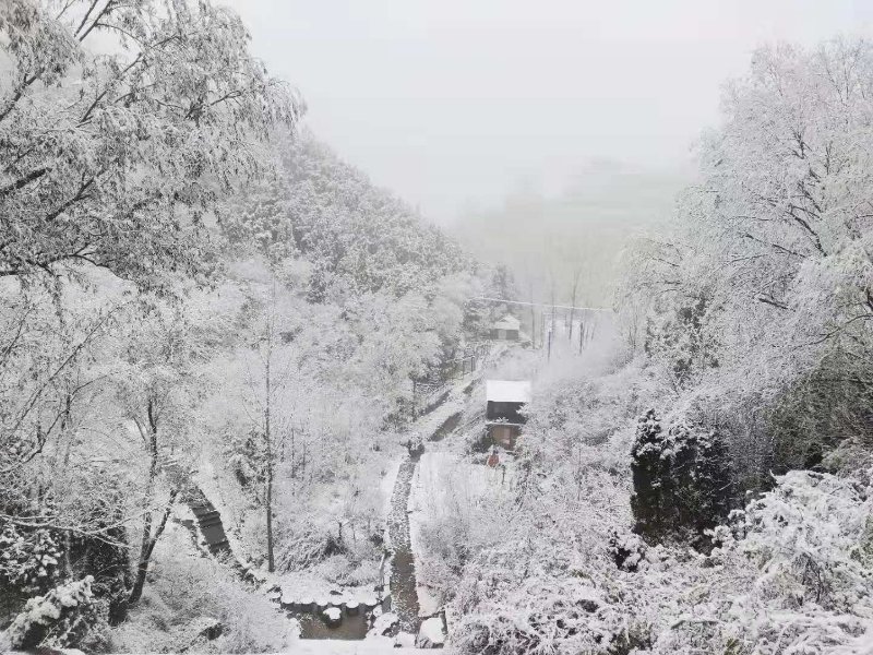 美不胜收！济南红叶谷景区迎来今冬第二场降雪