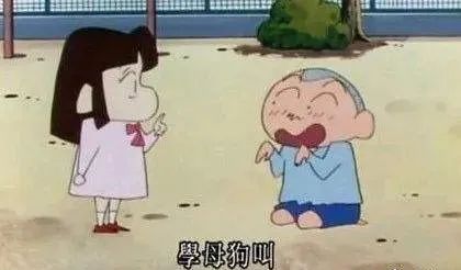 为什么舔狗不值得同情？