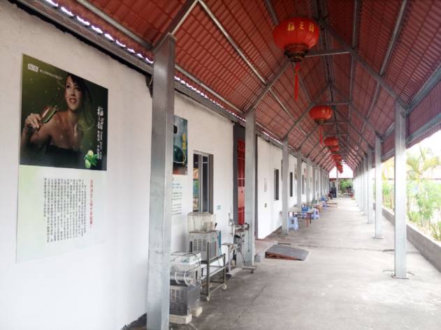 中国工业旅游之漳州观光工厂