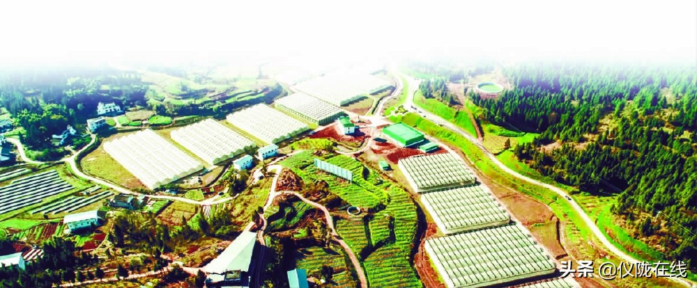 四川仪陇：做强农业园区引领乡村振兴