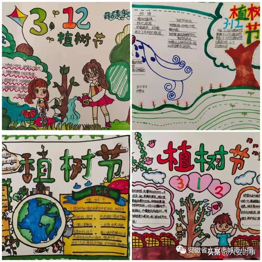 ӵ������ ������ɫ���������г���Сѧֲ���ڻ