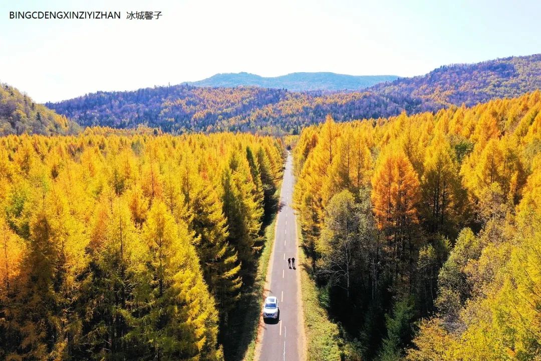 Xuexiang Tianlu, walking through the poetry of autumn leaves dancing with the first snow
