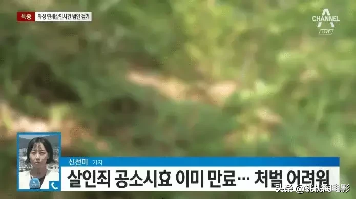《杀人回忆》真凶终于抓到了,没想到真相竟然这么戏剧性