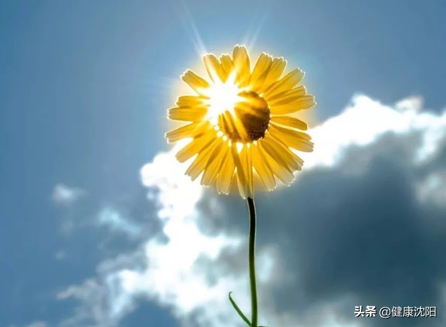 健康知識普及行動系列科普知識講座之心理健康篇