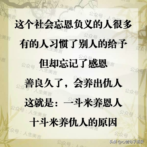 我本善良，但请别把我当傻子！（句句戳心）