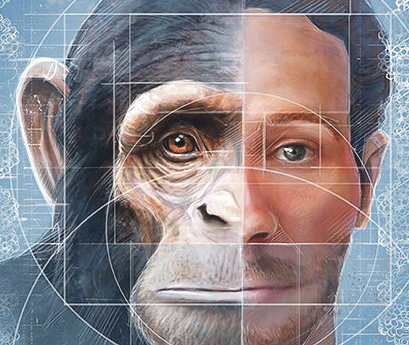 Scientists discovered that a chimpanzee has a genetic mutation and ...