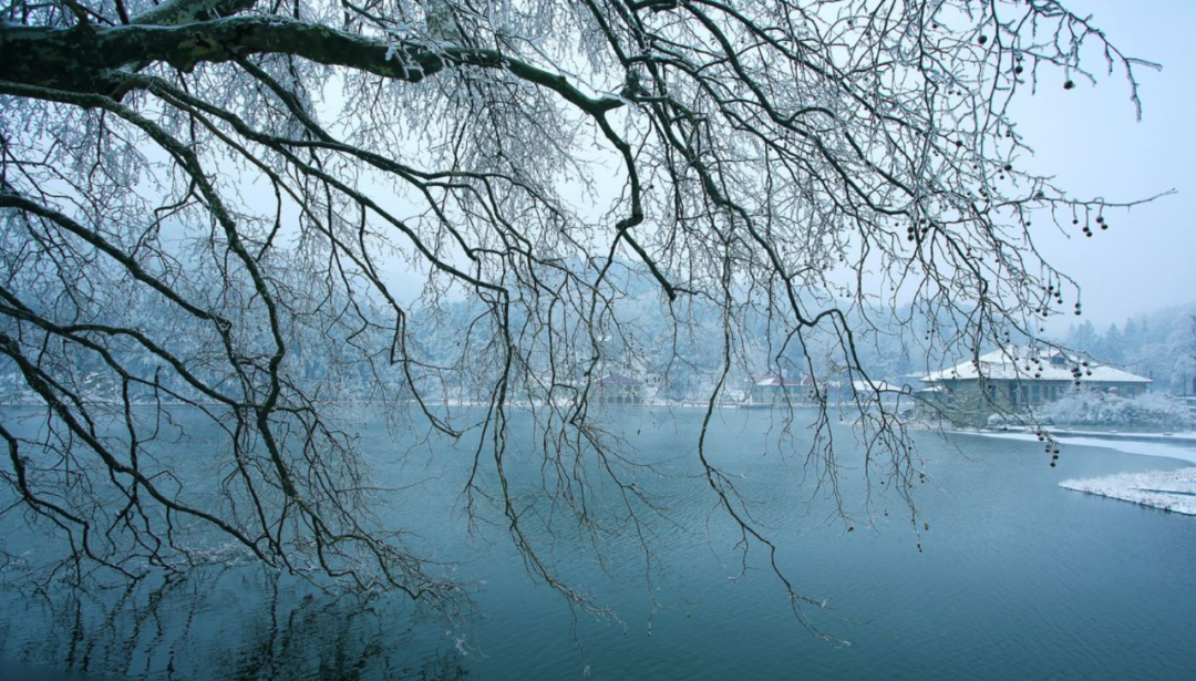 十首冬景的诗词，冬天的景色，在最美的诗词里-第3张图片-诗句网