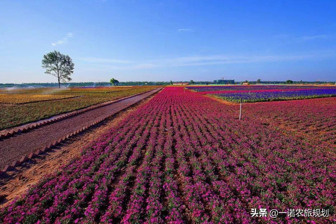 未来三五年后，80%人群将走进田园+养生养老+中医康养模式生活