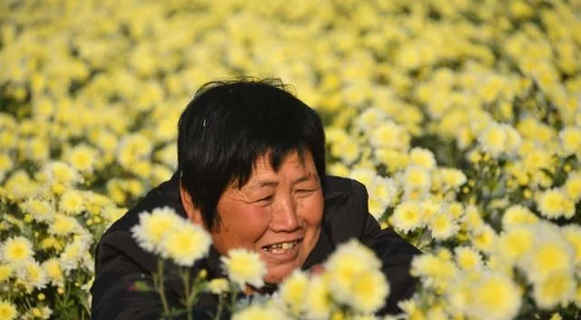 农村又有3条禁令被解除，农民的好日子要来了