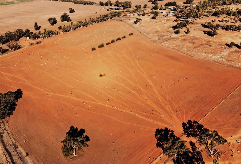 ��ռһƬ��½���Ĵ�����ȴû��һ����ӣ�һ�����