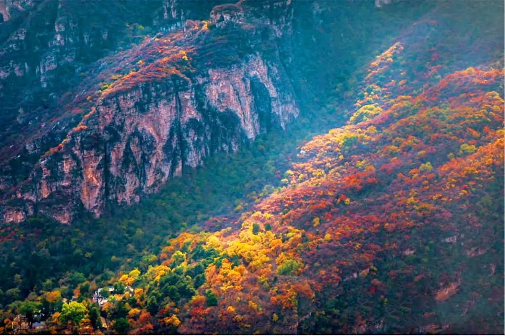 Simagou, Yaowang Valley, admire thousands of mu of red leaves, see the most beautiful autumn scenery, and keep the most beautiful autumn