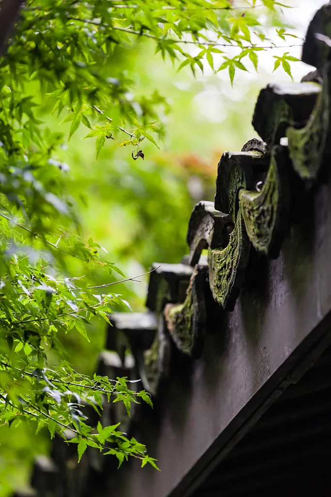 清明 | 梨花风起,思念随风化雨
