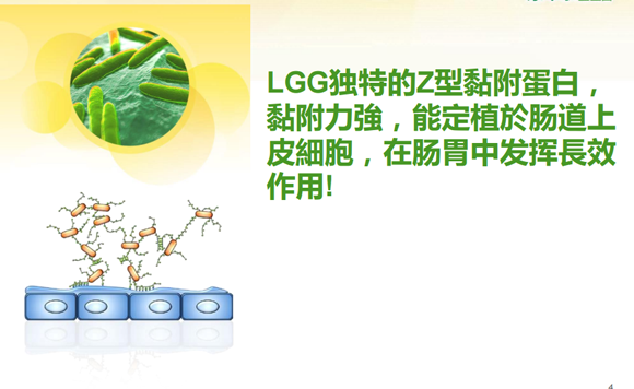 哪种益生菌比较好？这里有份超全挑选攻略