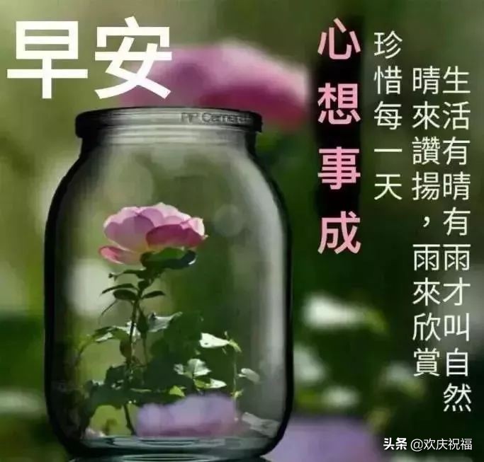 清晨早上好的问候语和唯美图片大全图片