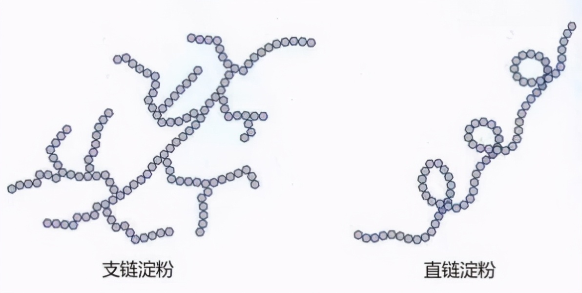 高分子链结构示意图图片