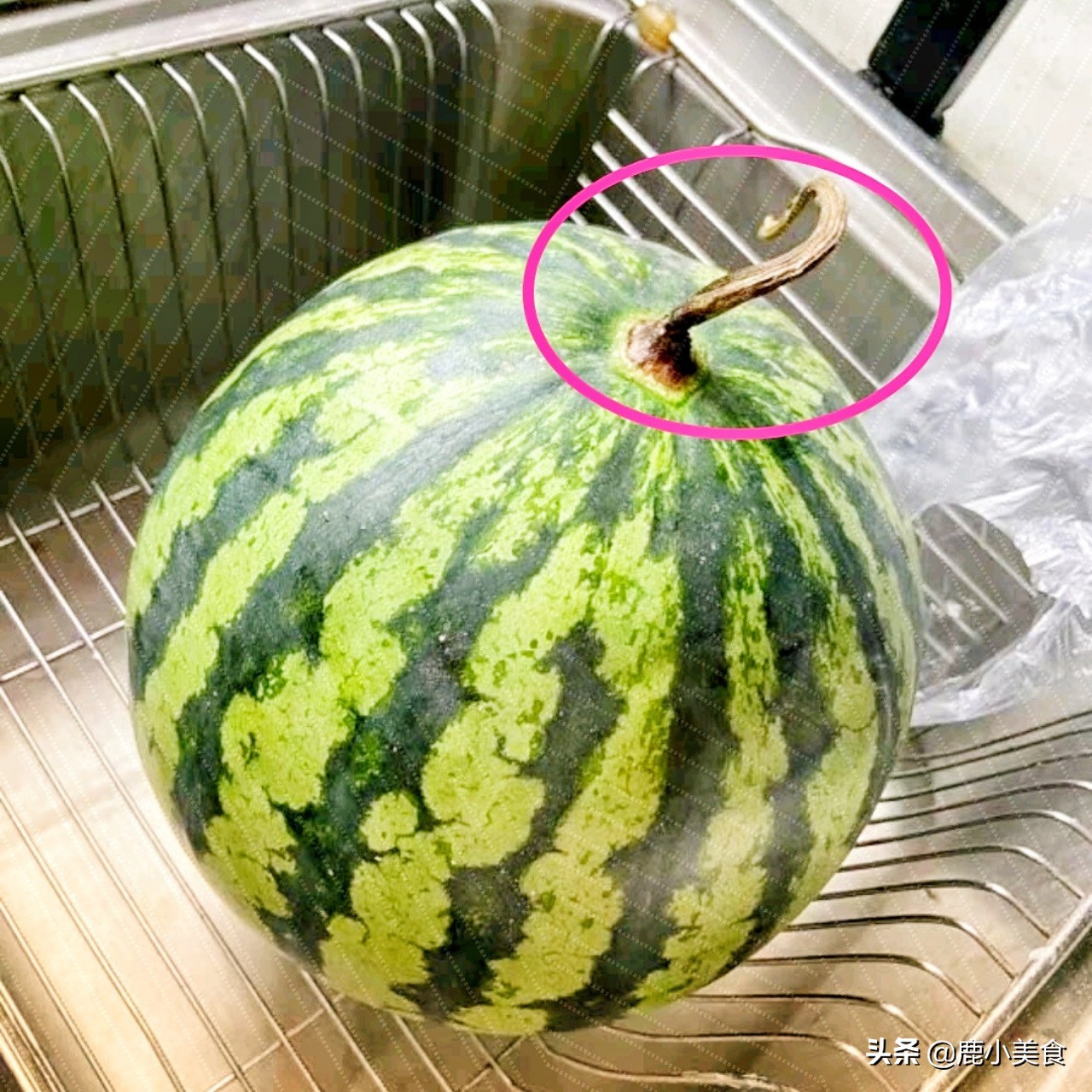 西瓜甜不甜，看4個地方！ 一挑一個準，老瓜農的竅門太管用了