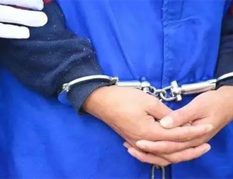 大案纪实：年轻新娘被娘家“卖”给婆家，杀人短信背后的支离破碎