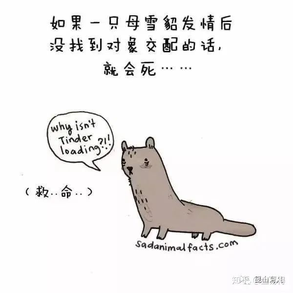 30個(ge) 有趣的科普小星空体育官网入口网站，你知道幾個(ge) ?