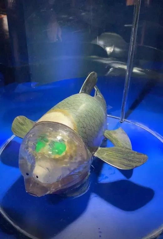 工业遗址大变身之废弃火电厂化身“海洋百科全书“