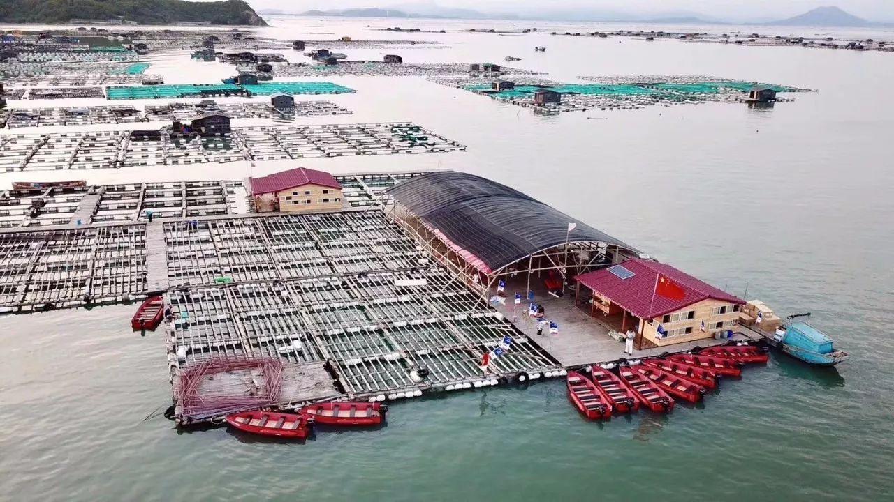 突發，中國港口全面暫停接收俄羅斯魚產品！ 俄緊急與我國展開溝通