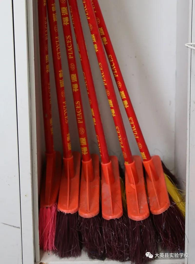 大英县实验学校：温风三月，礼教人生