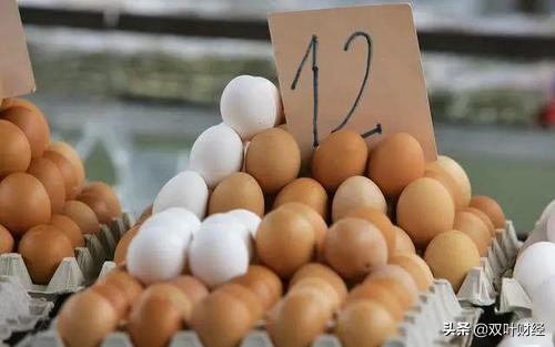 给养鸡户留条活路吧，鸡蛋跌至2.8元一斤，你准
