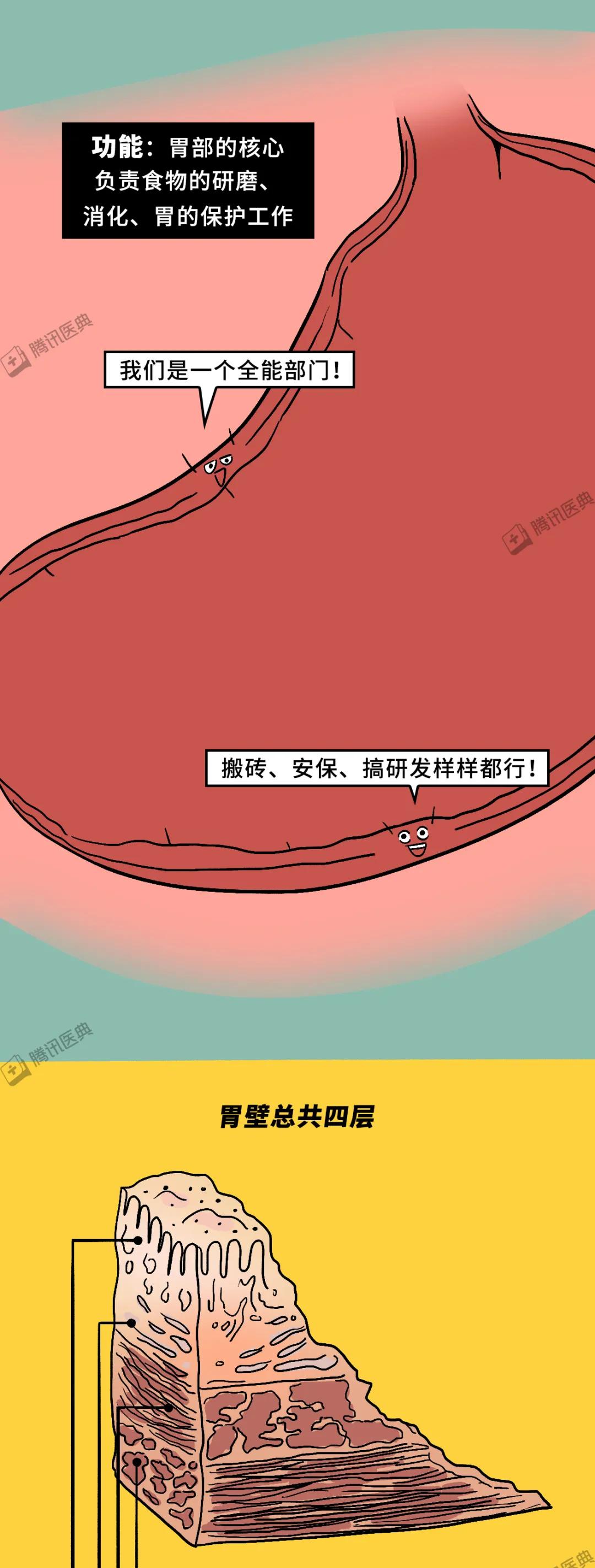 一吃主食就胀气，没吃几口就打嗝，这是胃在向你抗议！