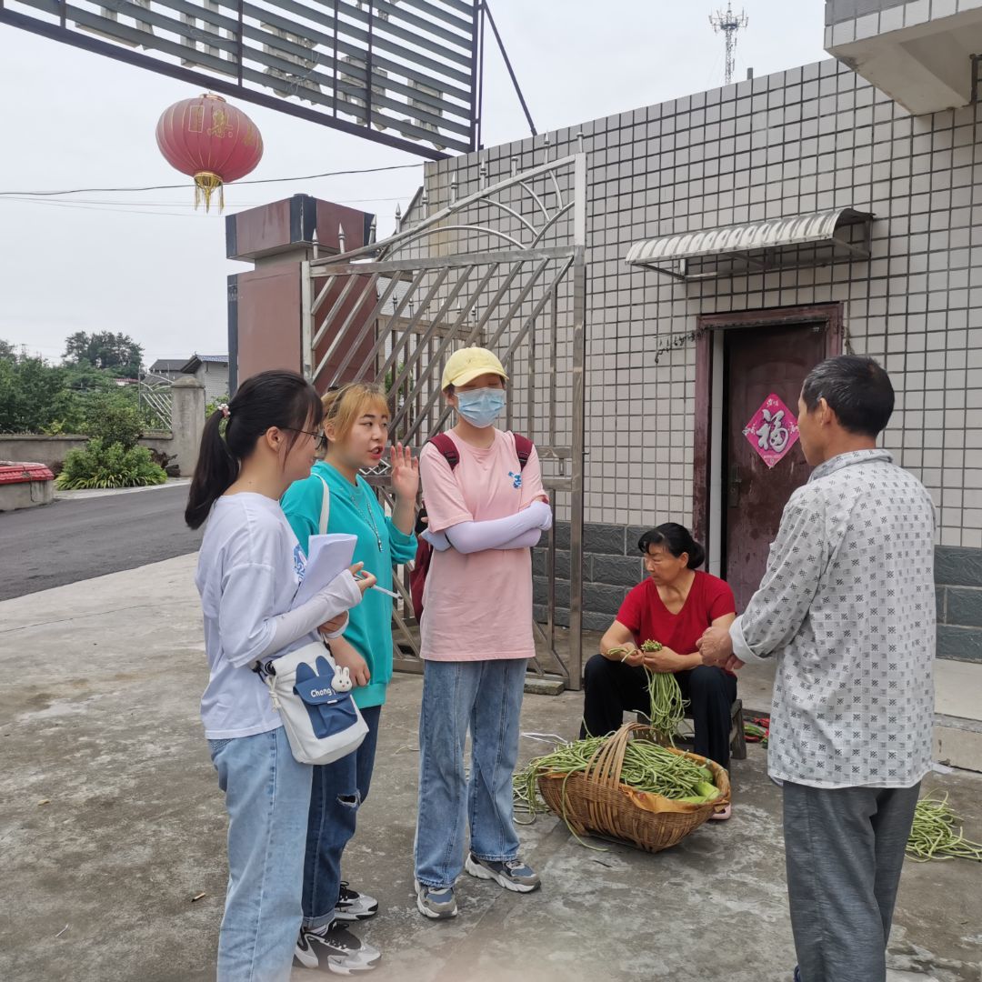 湖北学子三下乡:探访樱桃沟,助力乡村振兴