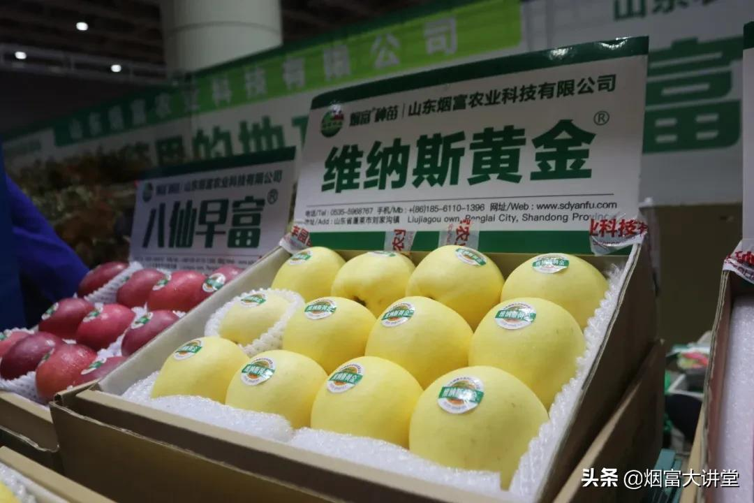 种植维纳斯黄金®苹果的果农朋友们,这个你一定要看