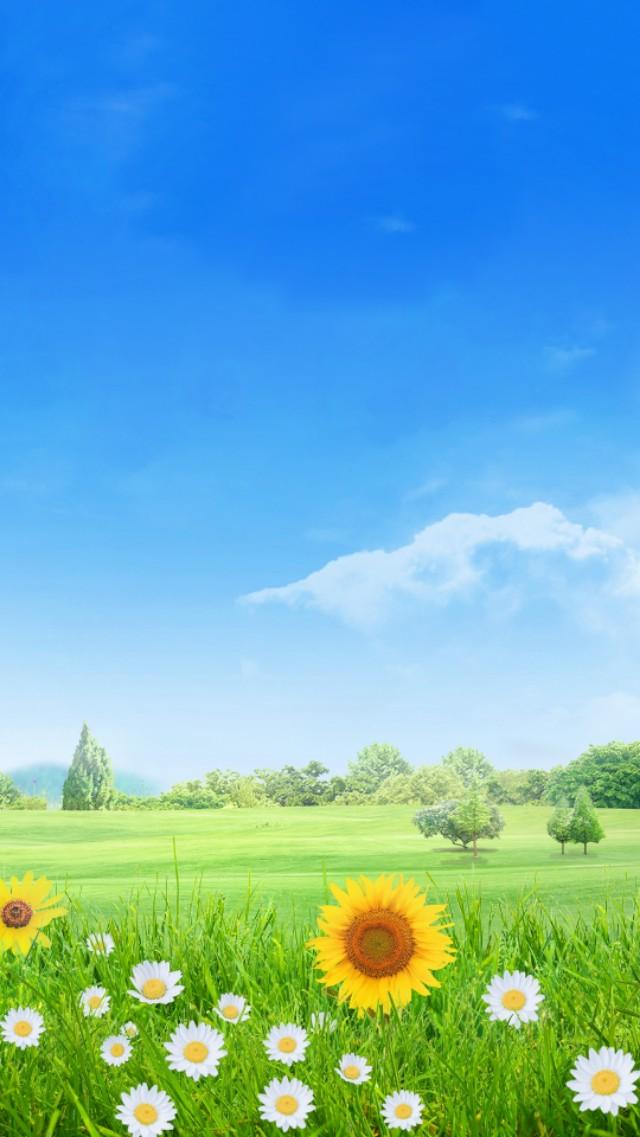 描写内心平静的一段话 平静自己心静的句子图片
