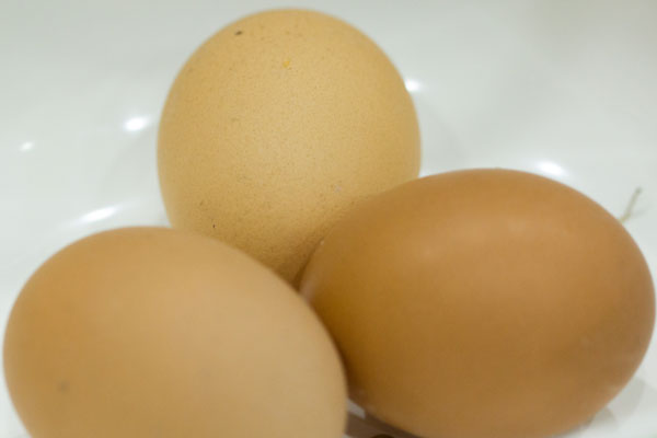 老人需補充優質蛋白，如何食補？ 清單已列出，牛奶、雞蛋都在內