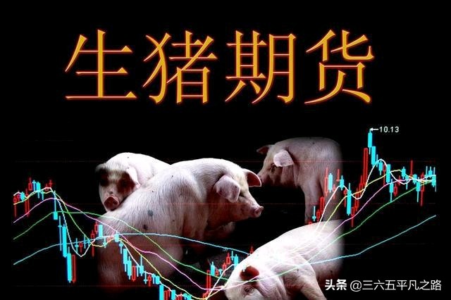 2021 is " 9 Tu Gong pigs " , does hog prices forecast: ? Li  appropriate? 