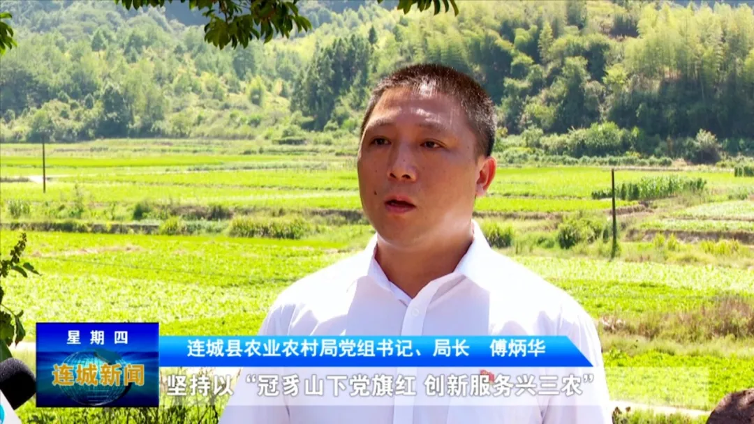「勇擔新使命 奮進新征程」連城縣農業農村局：鞏固拓展脫貧攻堅成果 全面推進鄉村振興
