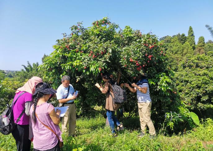 一江清水流，两岸产业兴，泸州合江：赤水河大保护，解锁发展双赢路