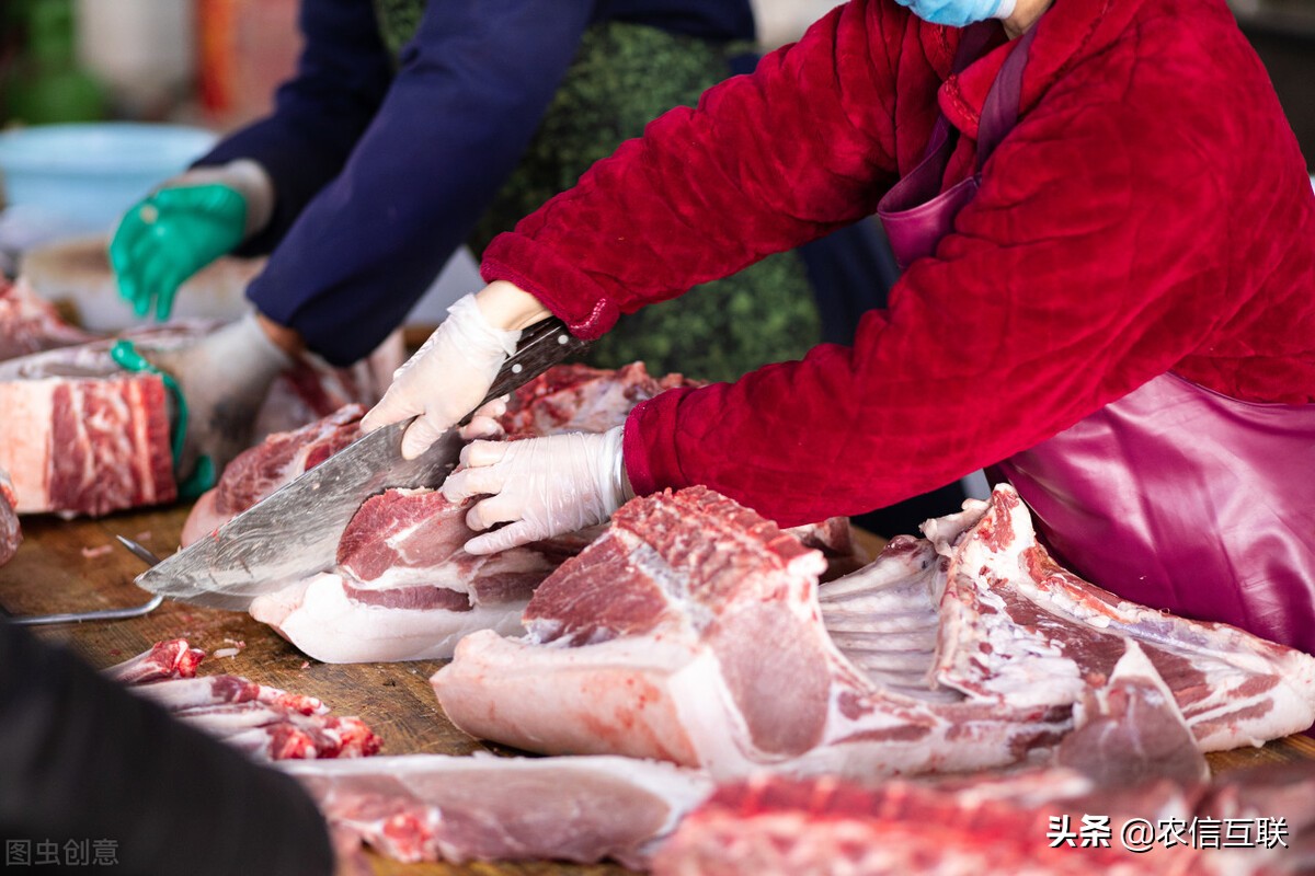 Pig price " cave in drops greatly " , steep fall 25% , be about to go to 10 yuan? Blame acute communicable diseases makes trouble, drop even