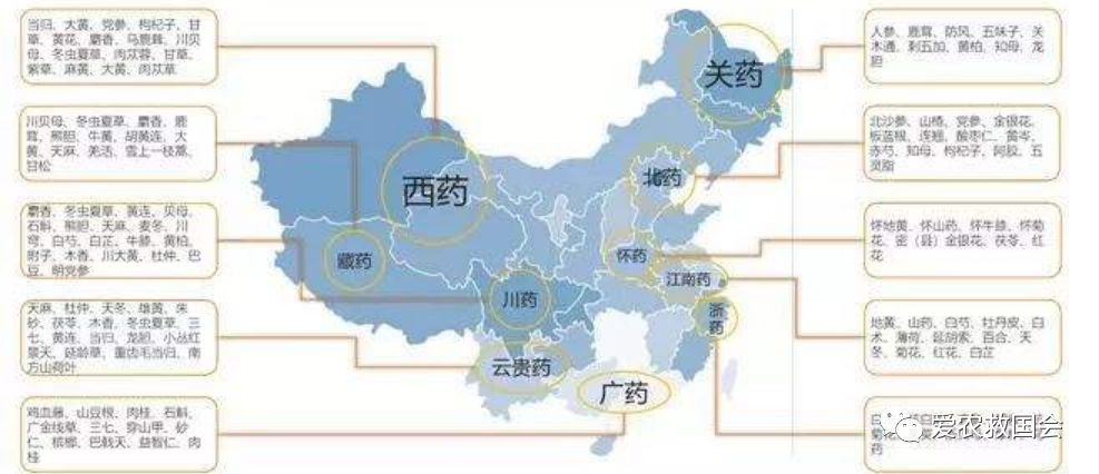 茶人借鉴：中医药特色小镇的发展与思考