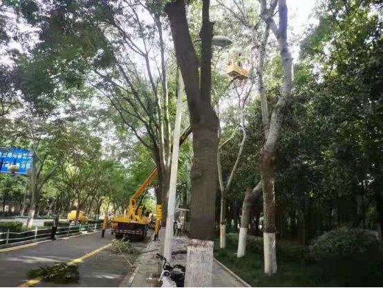 台风“烟花”来袭，漯河昼夜排查抢险保道路安全通畅