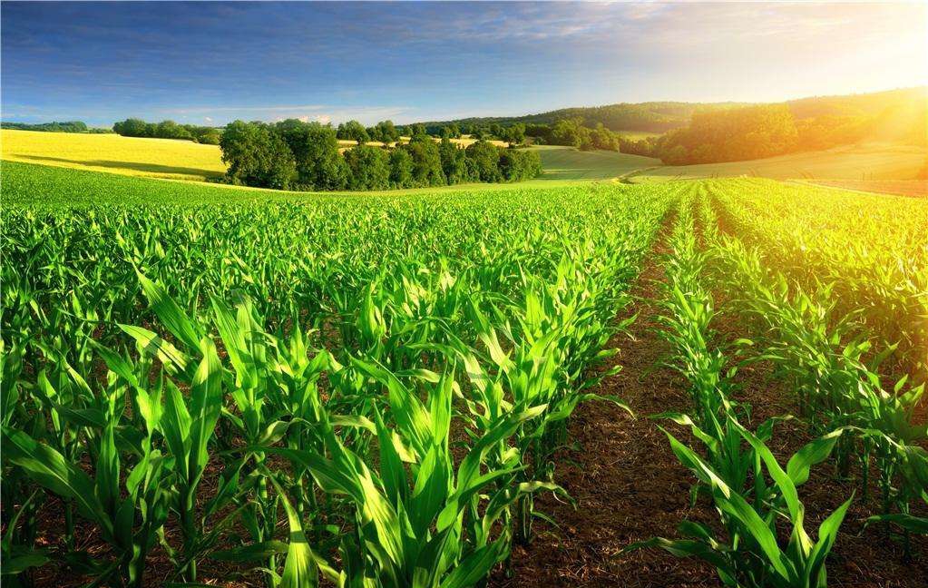 什么是绿色营销休闲农业市场营销之绿色营销