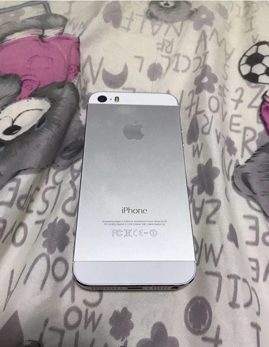 这个iPhone5s要300元，见到系统软件坚决拿到！