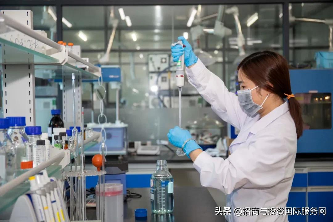 珠海高新区：创新驱动引领区域经济高质量发展