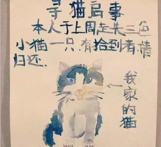 我收集的这些寻猫启示脑洞太大了,我就想问,你画的是什么?