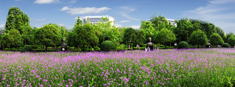 重慶師范大學最全攻略，豪華宿舍盤點，蜜雪冰城就開在食堂