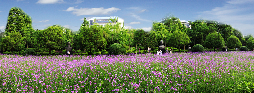 重慶師范大學(xué)最全攻略，豪華宿舍盤點(diǎn)，蜜雪冰城就開在食堂